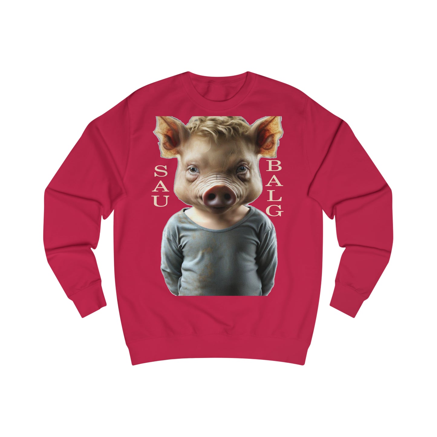 Saubalg (2) - Pullover